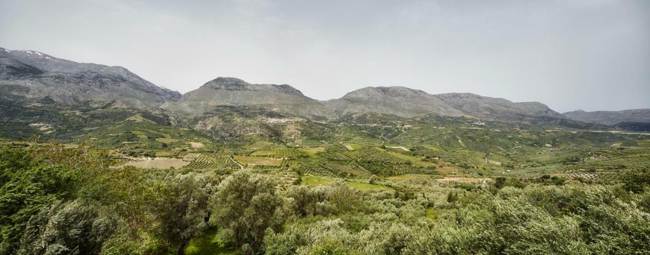 Εαρινό Διαμέρισμα Κάτω Ασίτες Εξωτερικό φωτογραφία